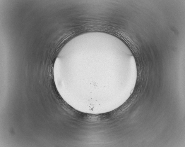 X0000115020325200912071032