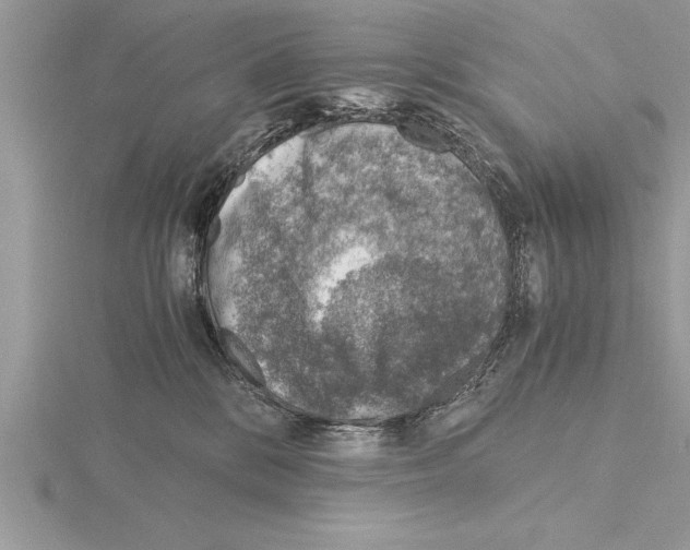 X0000115020328200912071032