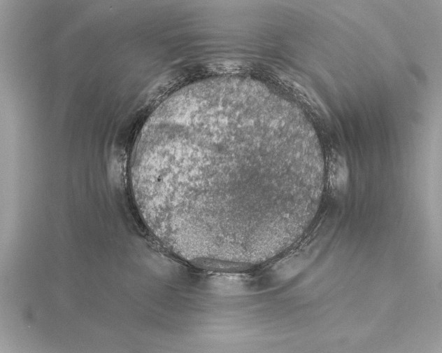 X0000115020332200912071032