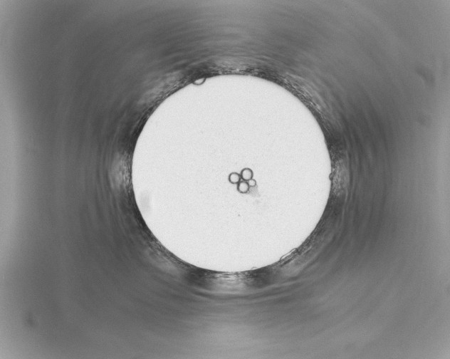 X0000115020335200912071032