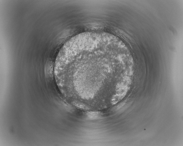 X0000115020336200912071032