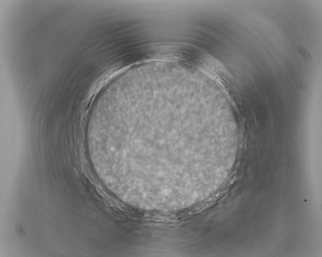 X0000115020337200912071032