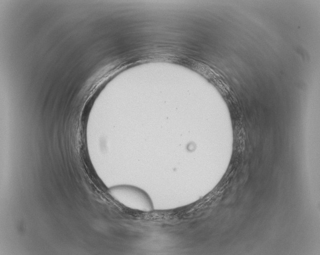 X0000115020338200912071032