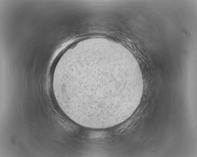 X0000115020342200912071032