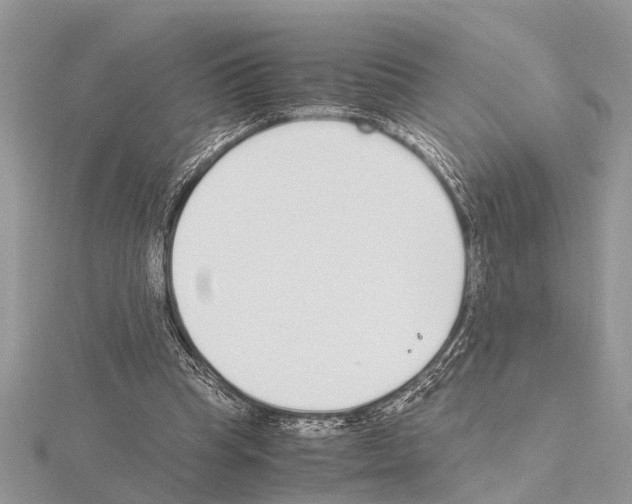 X0000115020345200912071032