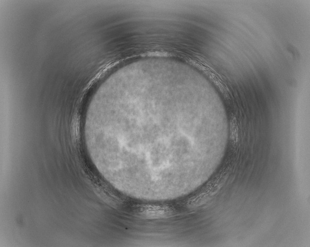 X0000115020347200912071032