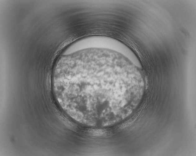 X0000115020349200912071032