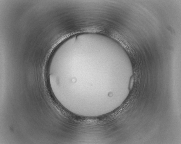 X0000115020350200912071032