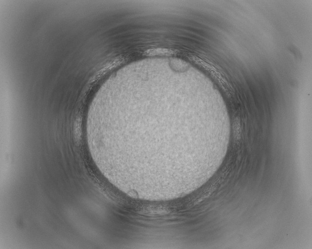 X0000115020353200912071032