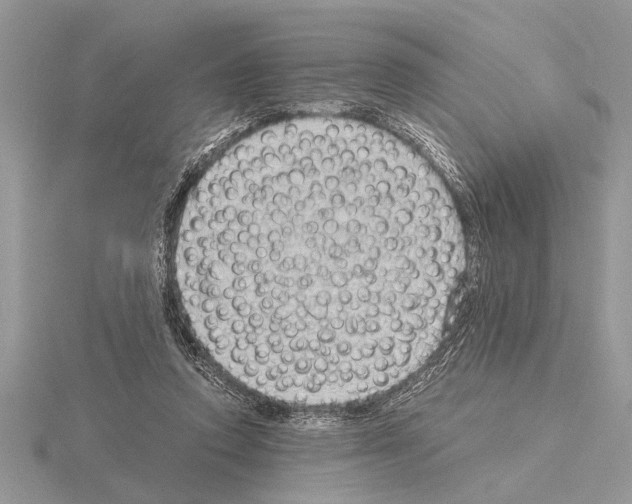 X0000115020354200912071032