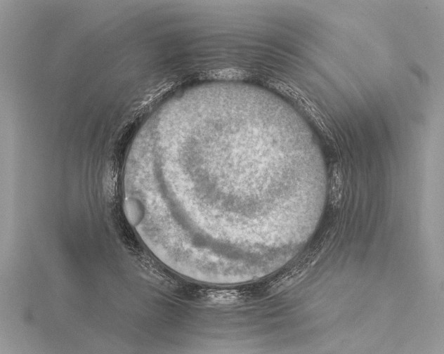 X0000115020355200912071032