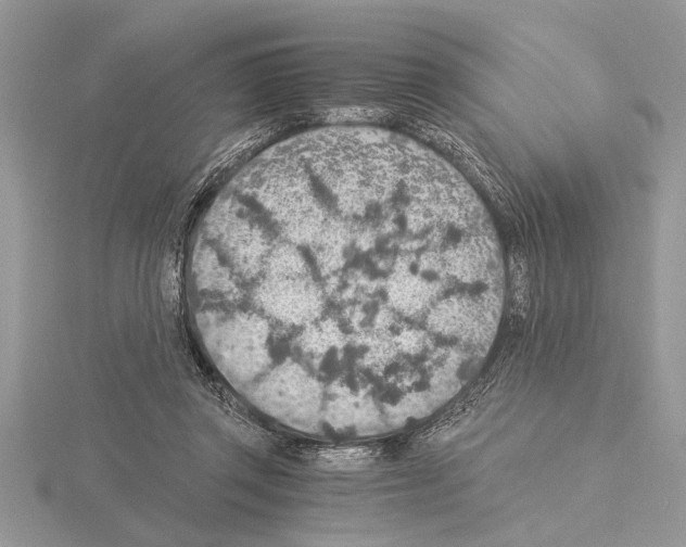 X0000115020357200912071032