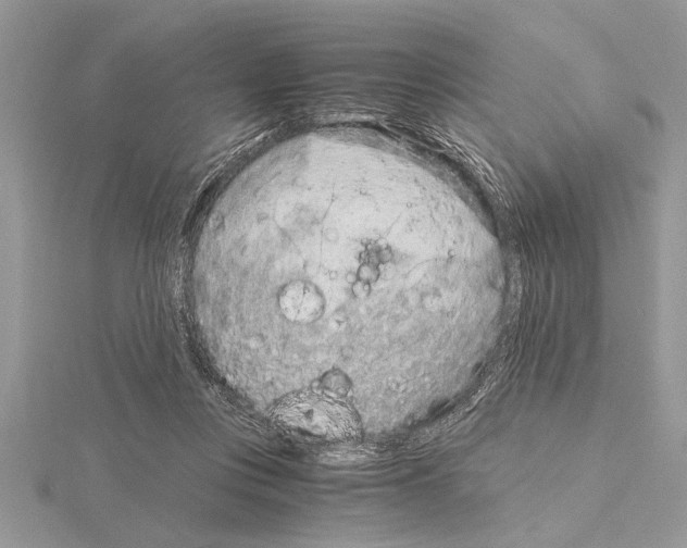 X0000115020359200912071032