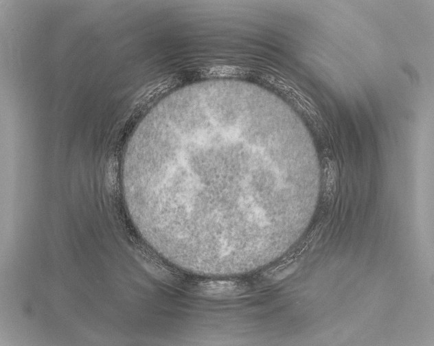 X0000115020361200912071032