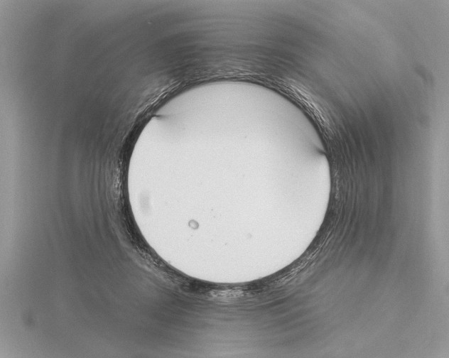 X0000115020362200912071032