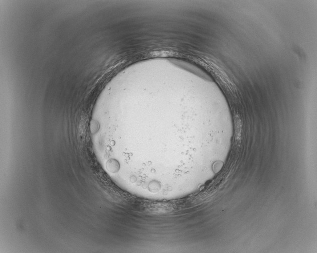 X0000115020363200912071032