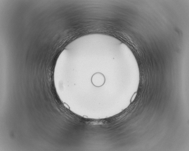 X0000115020366200912071032