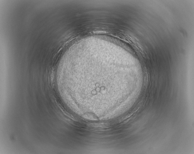 X0000115020367200912071032