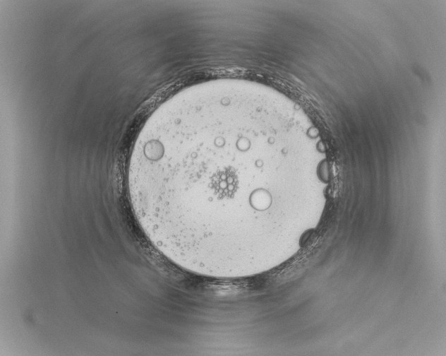 X0000115020370200912071032