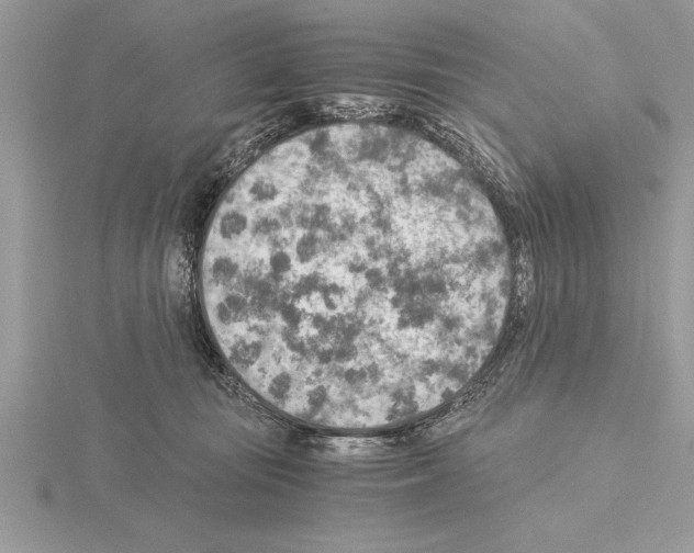 X0000115020371200912071032