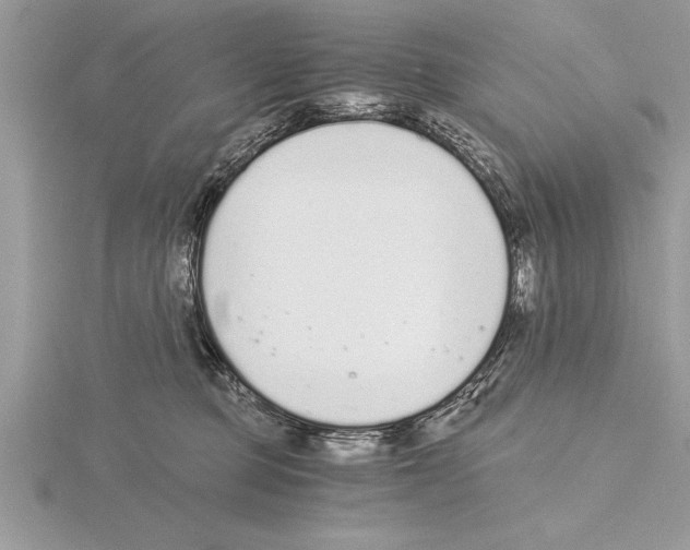 X0000115020373200912071032