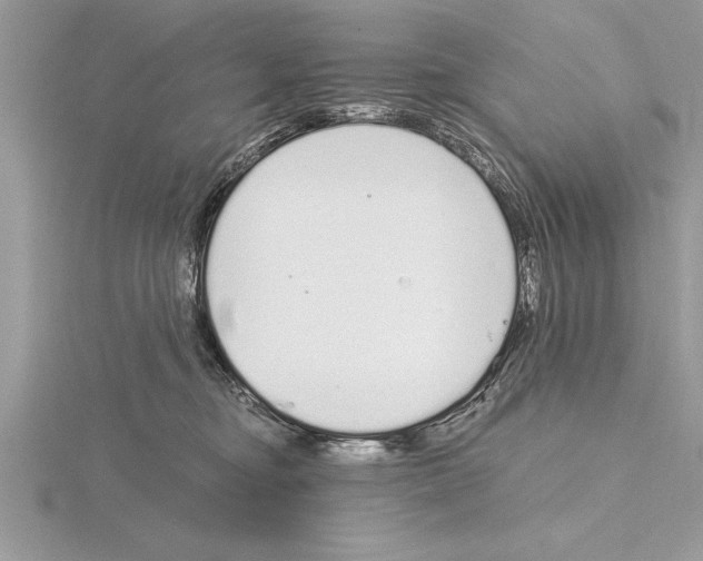 X0000115020374200912071032