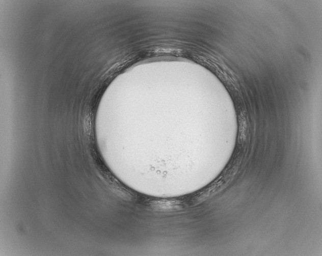 X0000115020375200912071032