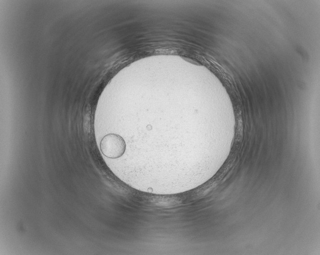 X0000115020379200912071032