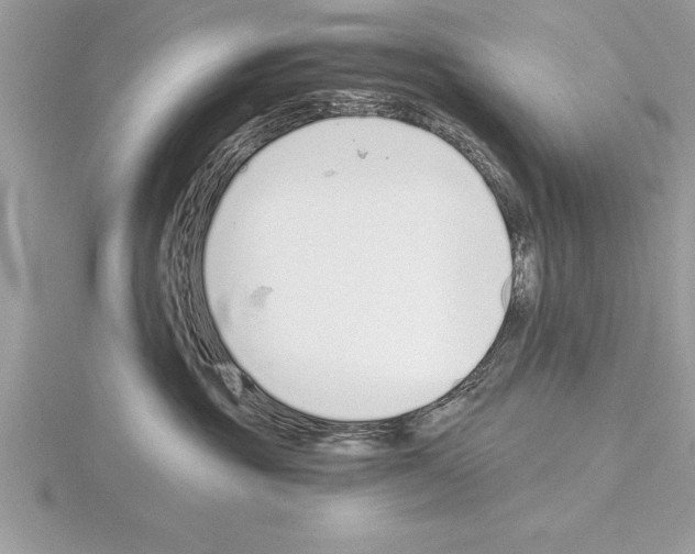 X0000115020381200912071032