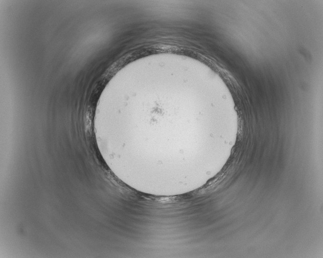 X0000115020382200912071032