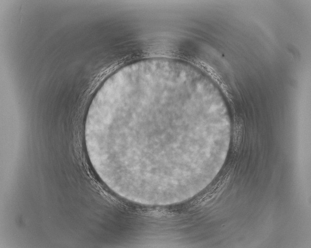 X0000115020385200912071032