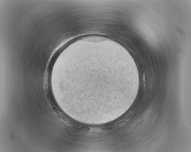 X0000115020388200912071032