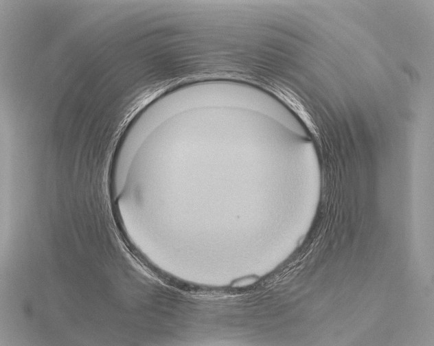 X0000115020389200912071032