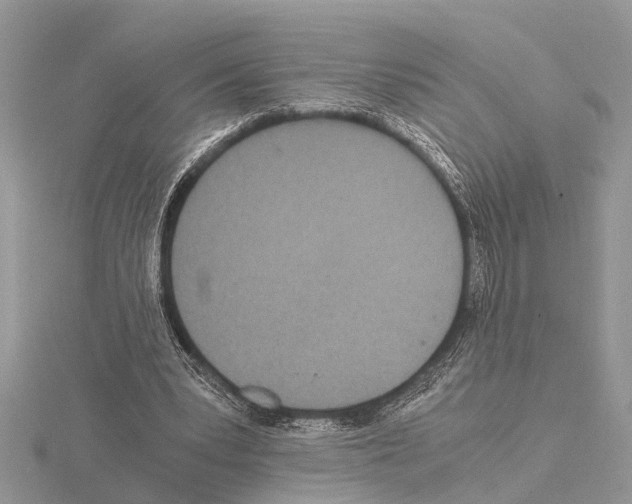 X0000115020391200912071032