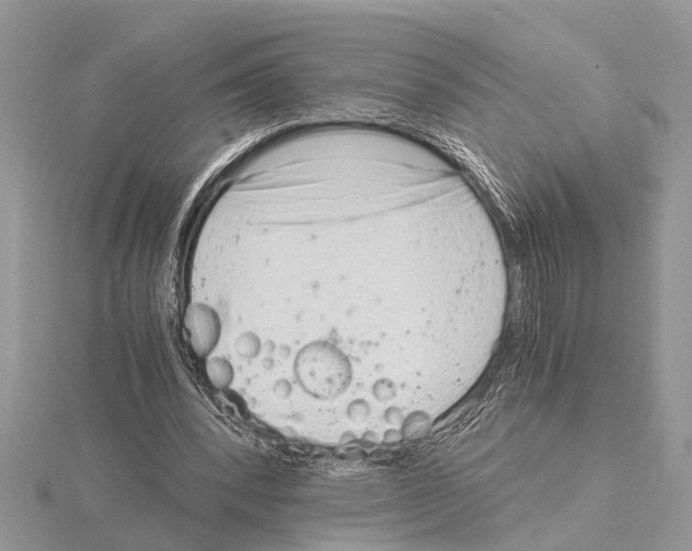 X0000115020392200912071032