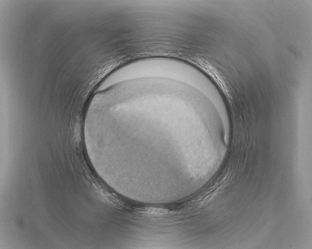 X0000115020393200912071032