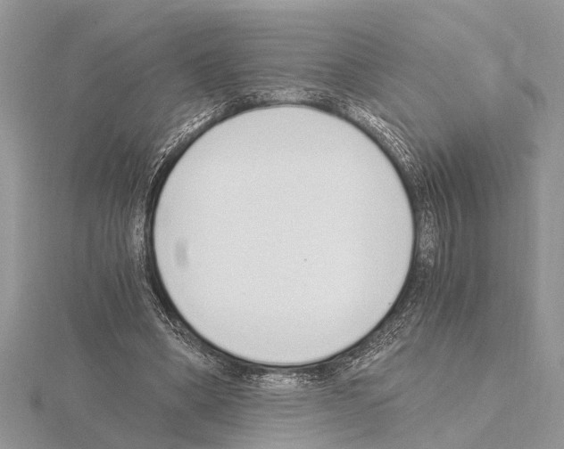 X0000115020394200912071032