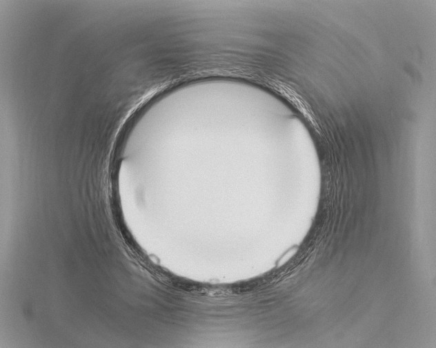 X0000115020395200912071032