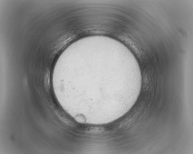 X0000115020398200912071031