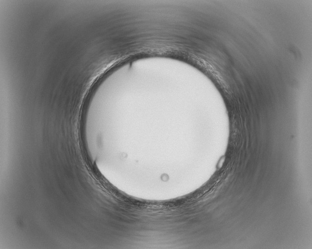 X0000115020399200912071031