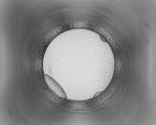 X0000115020401200912071031