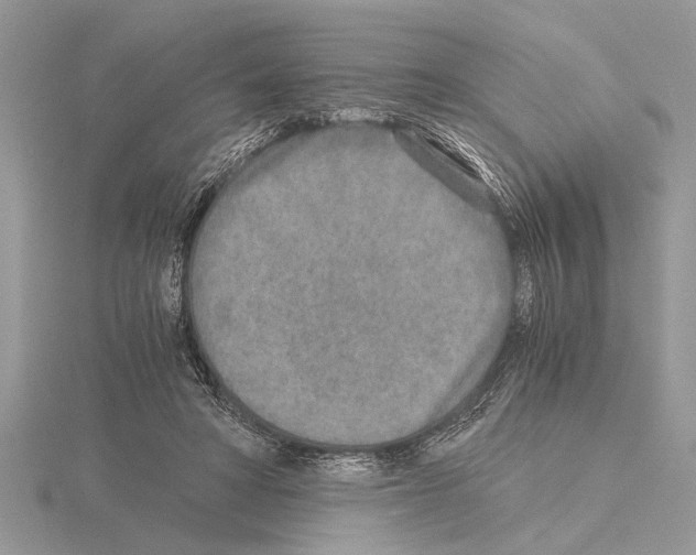 X0000115020402200912071031