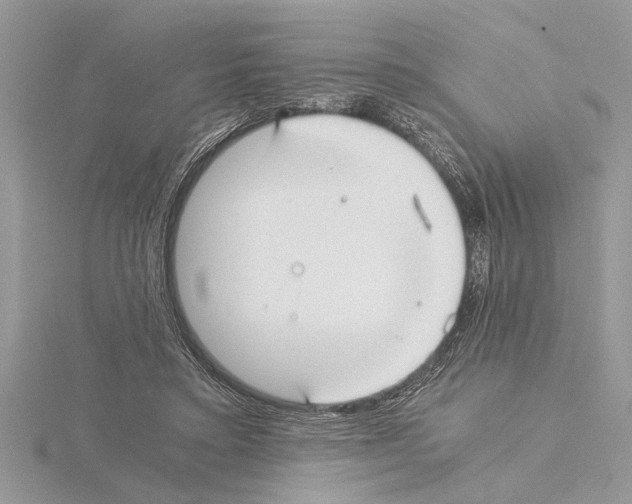 X0000115020403200912071031