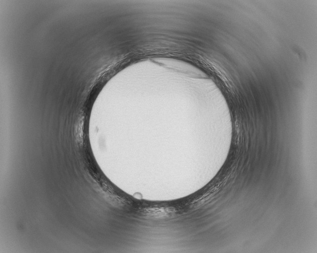 X0000115020404200912071031