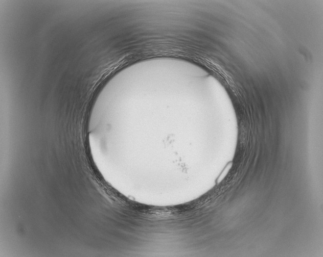 X0000115020405200912071031