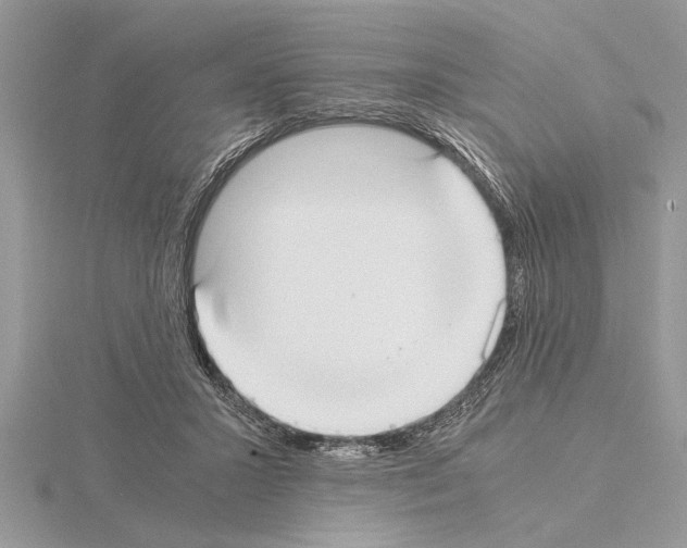 X0000115020407200912071031