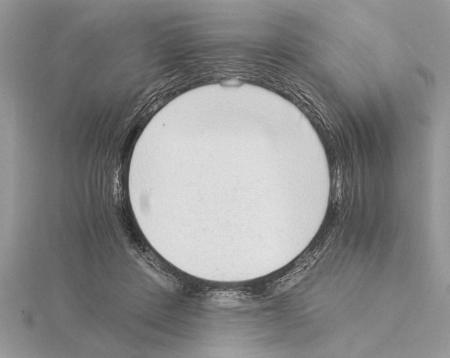 X0000115020408200912071031