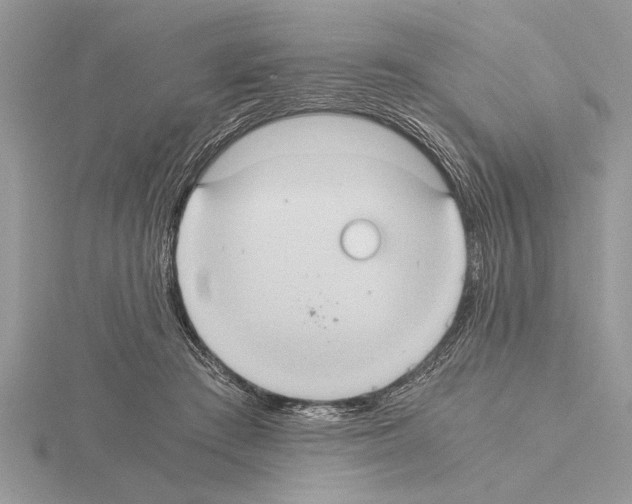 X0000115020409200912071031