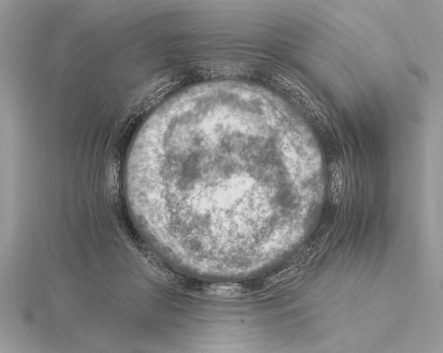 X0000115020410200912071031