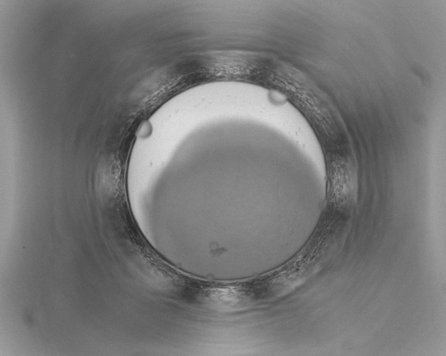 X0000115020411200912071031